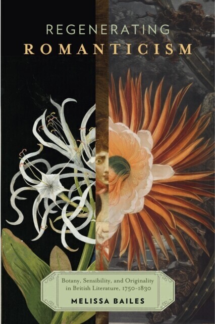 Regenerating Romanticism main product photo