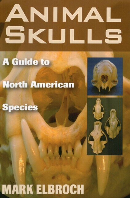 Animal Skulls main product photo