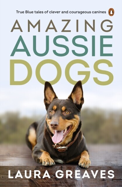 Amazing Aussie Dogs main product photo