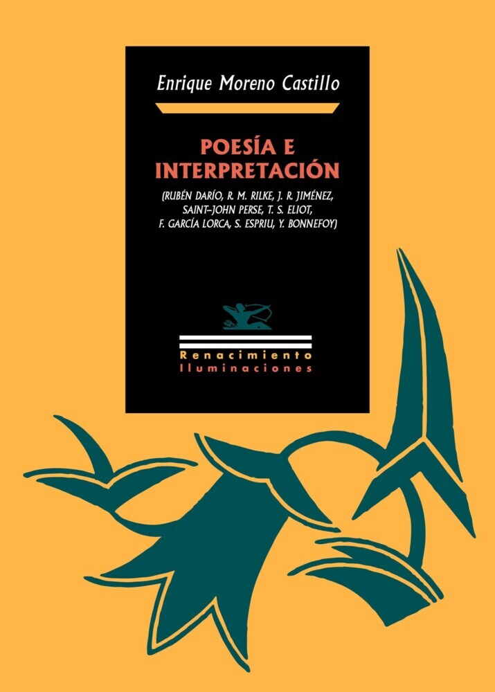 Poesía e interpretación main product photo