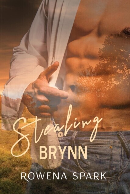 Stealing Brynn main product photo