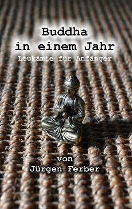 Buddha in einem Jahr