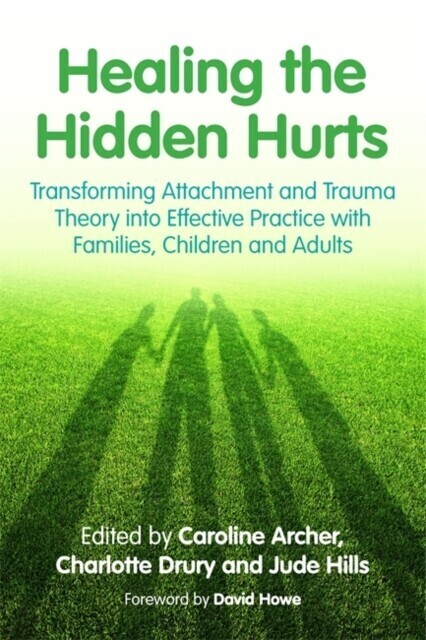 Healing the Hidden Hurts main product photo