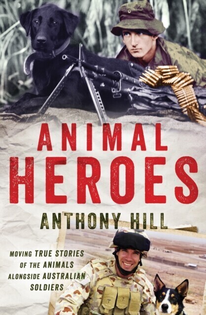Animal Heroes main product photo