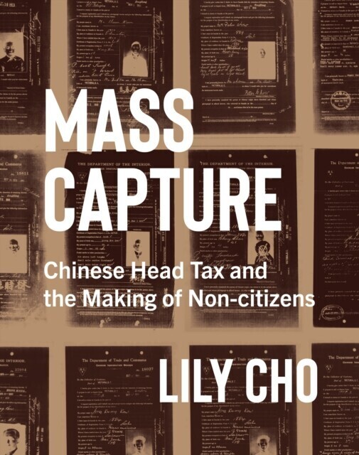 Mass Capture main product photo