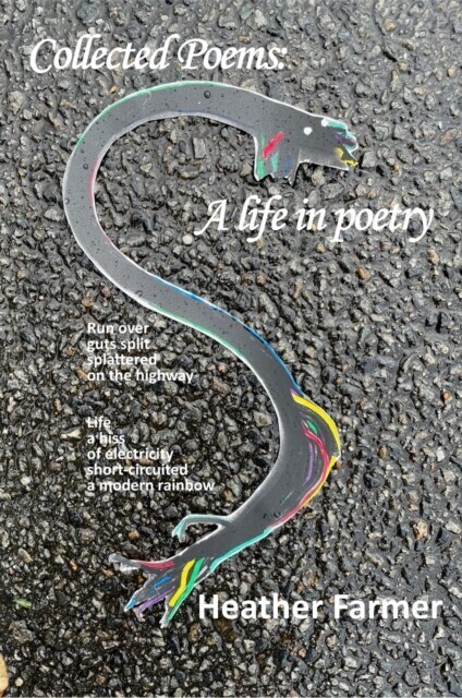 Collected Poems main product photo