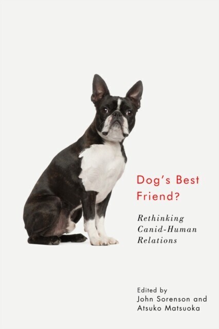 Dog's Best Friend? main product photo