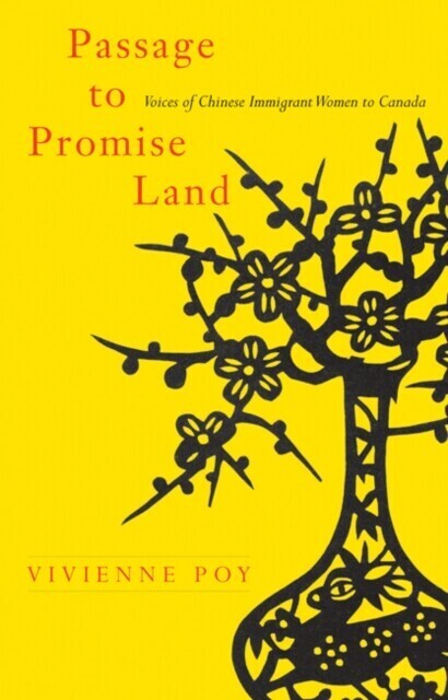 Passage to Promise Land main product photo