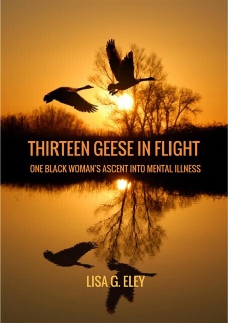 Thirteen Geese in Flight main product photo