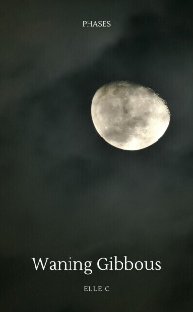 Waning Gibbous main product photo