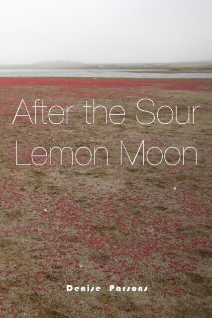 After the Sour Lemon Moon main product photo