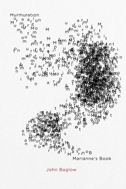Murmuration main product photo
