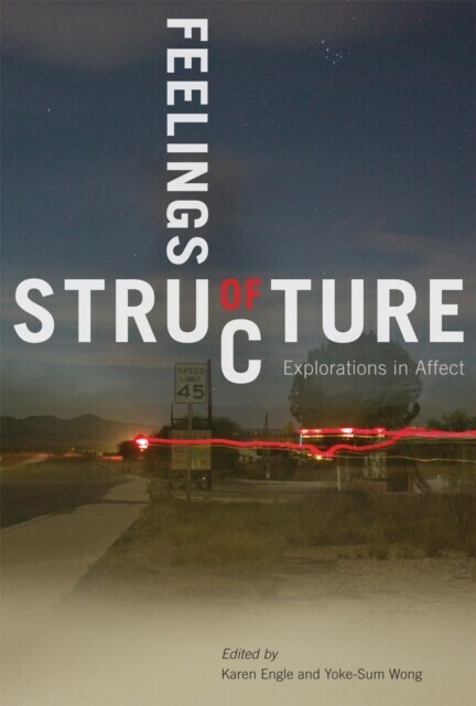 Feelings of Structure main product photo