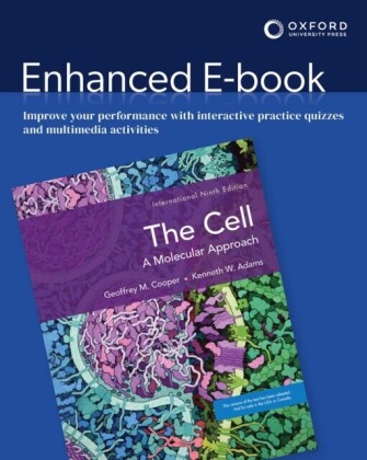Cell XE