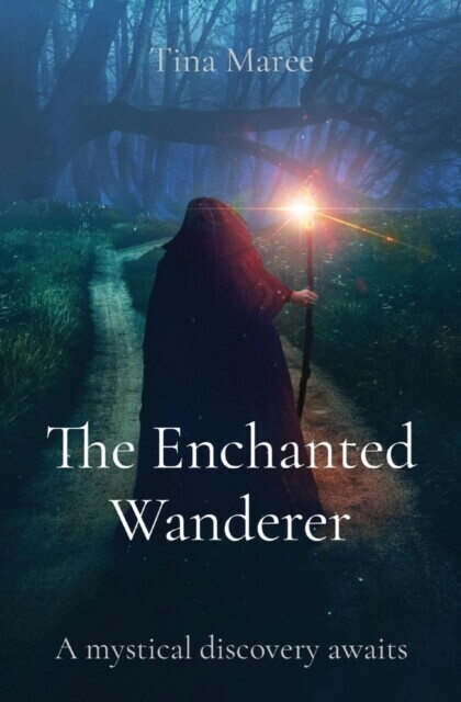 Enchanted Wanderer main product photo