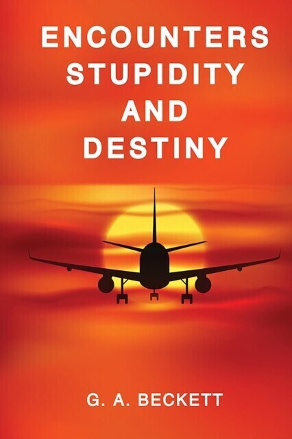 ENCOUNTERS STUPIDITY and DESTINY main product photo