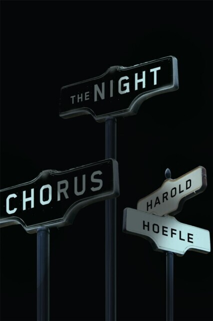 Night Chorus main product photo