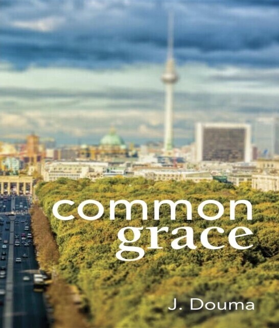 Common Grace in Kuyper, Schilder, and Calvin main product photo