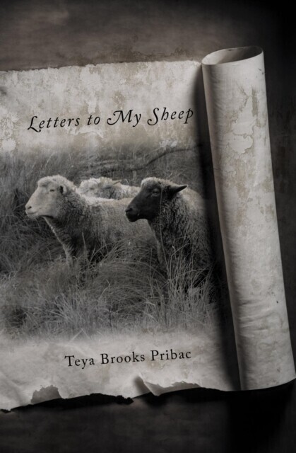 Letters To My Sheep main product photo