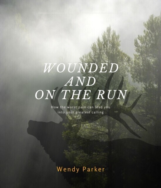 Wounded and On the Run main product photo
