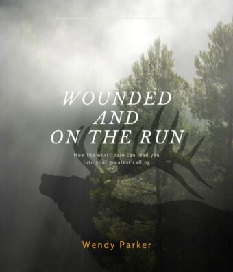 Wounded and On the Run