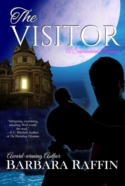 Visitor main product photo