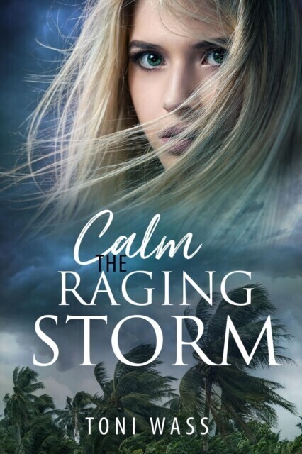 Calm the Raging Storm main product photo