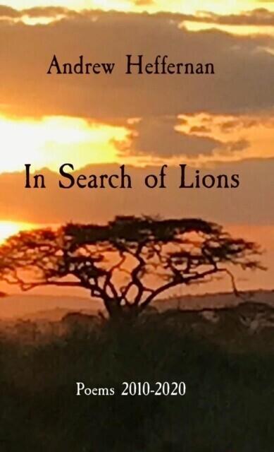 In Search of Lions main product photo