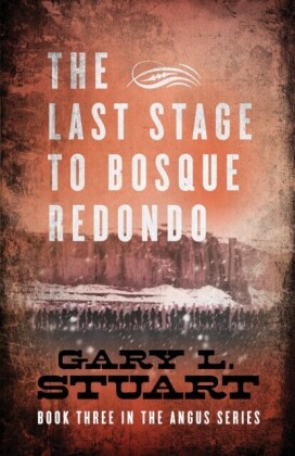 Last Stage to Bosque Redono