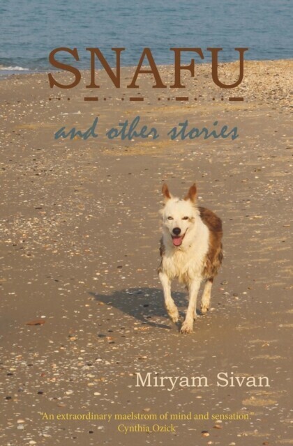 SNAFU and Other Stories main product photo