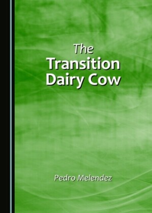 Transition Dairy Cow