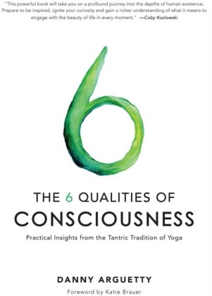 6 Qualities of Consciousness