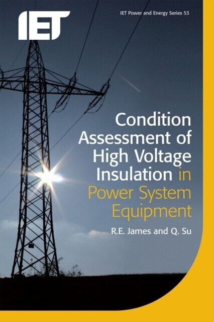 Condition Assessment of High Voltage Insulation in Power System Equipment main product photo