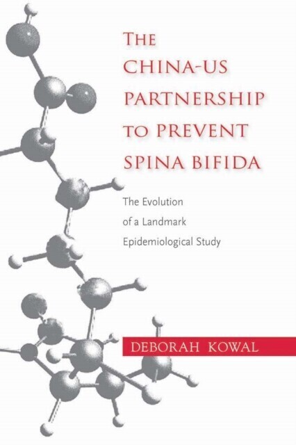 China-US Partnership to Prevent Spina Bifida main product photo
