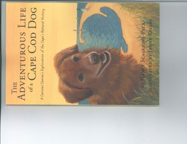 Adventurous Life of a Cape Cod Dog main product photo