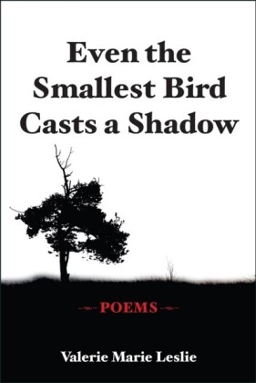 Even the Smallest Bird Casts a Shadow