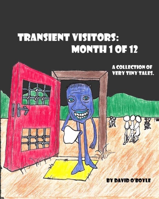 Transient Visitors main product photo
