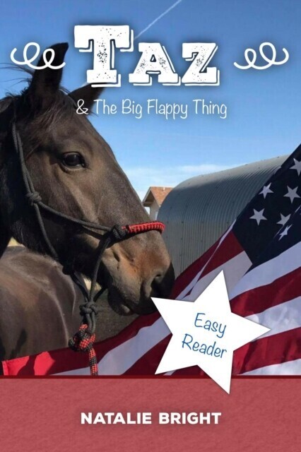 Taz & The Big Flappy Thing main product photo