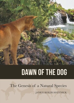 Dawn of the Dog