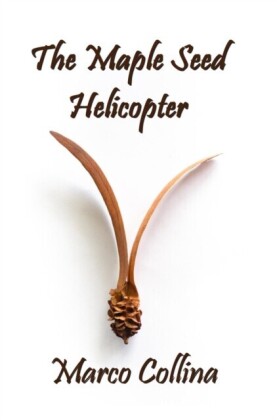 Maple Seed Helicopter