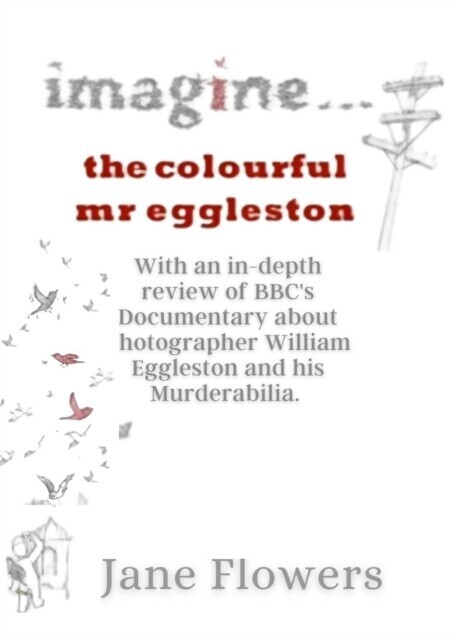 Imagine The Colorful Mr. Eggleston main product photo