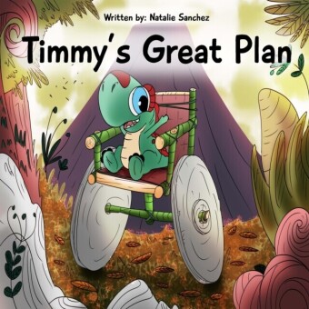 Timmy's Great Plan