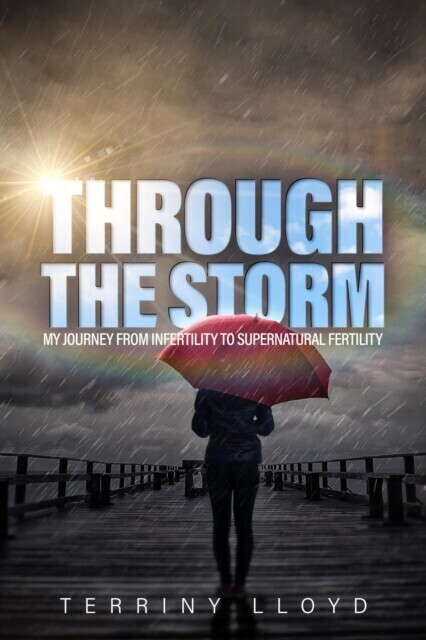 Through the Storm main product photo