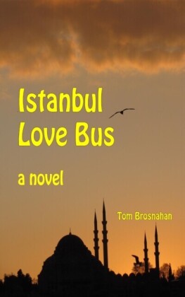 Istanbul Love Bus