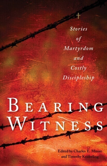 Bearing Witness main product photo
