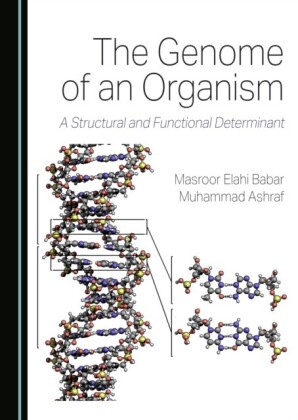Genome of an Organism