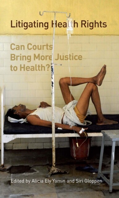 Litigating Health Rights main product photo