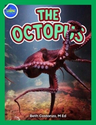 Octopus ages 2-4