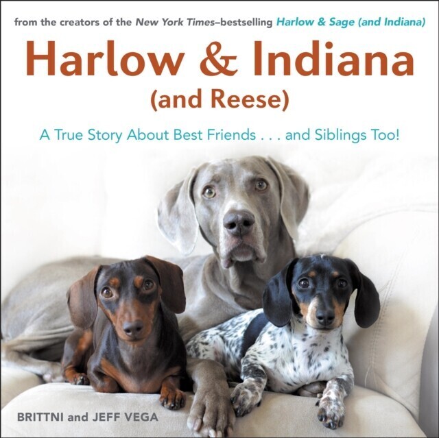 Harlow & Indiana (and Reese) main product photo