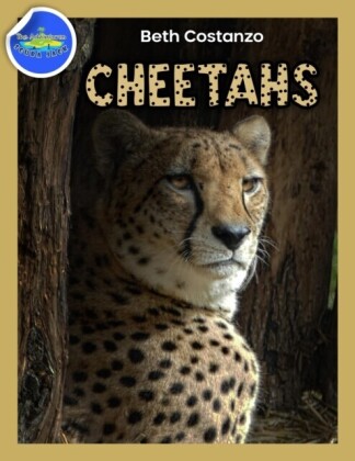 Cheetah Activity Workbook ages 4-8